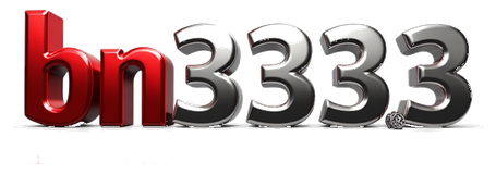 bn333